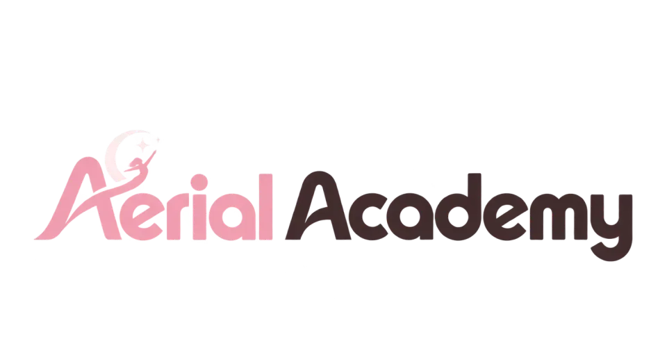 Aerial Academy wordmark logo idea: A mix of soft and structured letterforms gives Aerial Academy a distinctive look that still feels approachable.