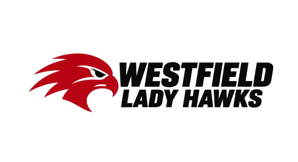 Westfield Lady Hawks combination mark logo idea: A focused hawk profile puts the team’s name front and center with a direct, competitive feel.