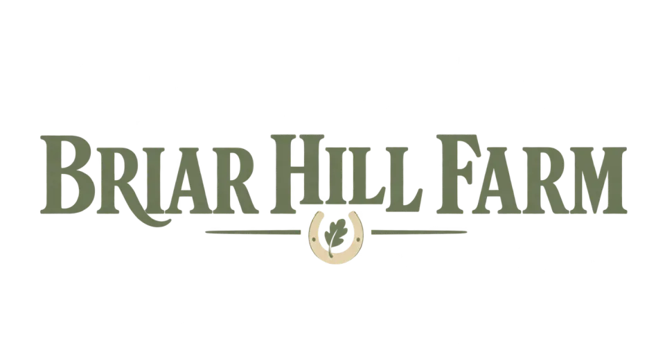 Briar Hill Farm wordmark logo idea: The sturdy uppercase lettering recalls traditional farm signage while keeping the name clean and readable at a glance.